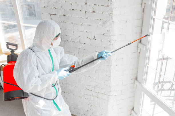 Why You Should Choose Our Mold Remediation Services in Fitchburg, WI